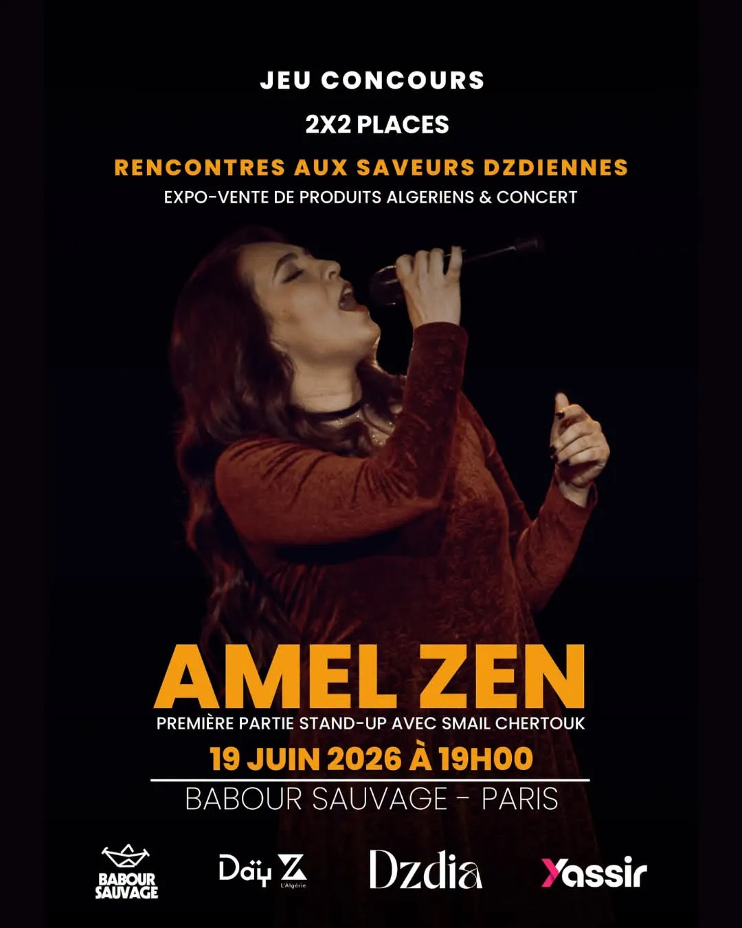 Affiche officielle du concert d'Amel Zen au Babour Sauvage à Paris